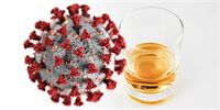 „Vypalování červa“ alkoholem na koronavirus nefunguje, tvrdí Světová zdravotnická organizace