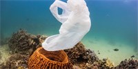 Mikroby žijící v oceánech se možná naučily konzumovat plast