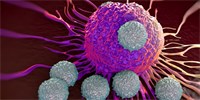 Mozek dokáže podporovat imunitní systém v boji proti nádorovým buňkám